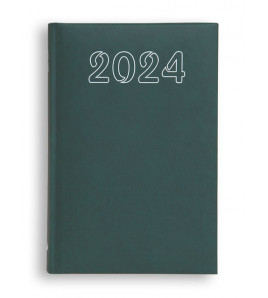 B6 STANDARD 2024 - zielony