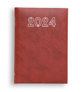 B7 STANDARD 2024 - brązowy