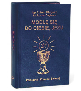 Modlę się do Ciebie, Jezu